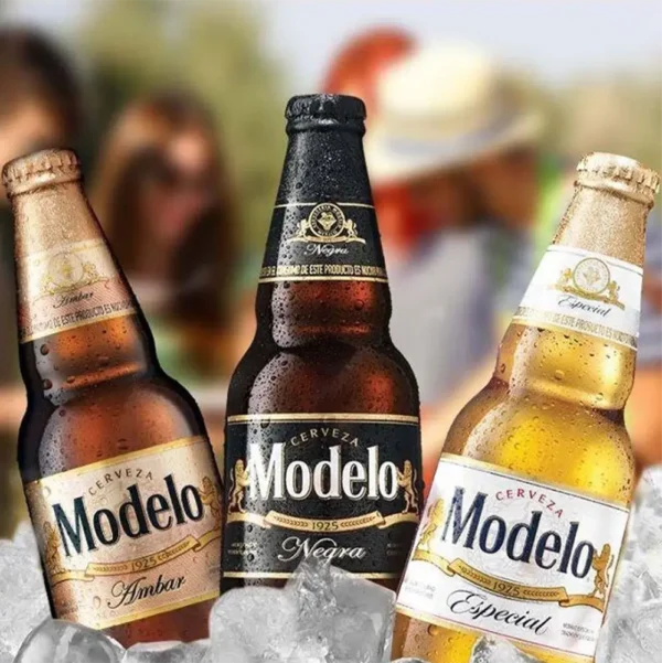 Modelo - Image 2